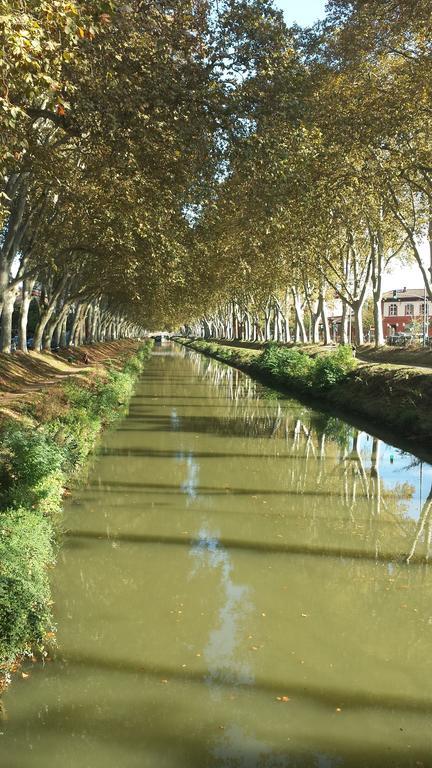 Canal Du Midi Apartment Toulouse Room photo